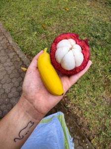 Banane und Mangosteen
