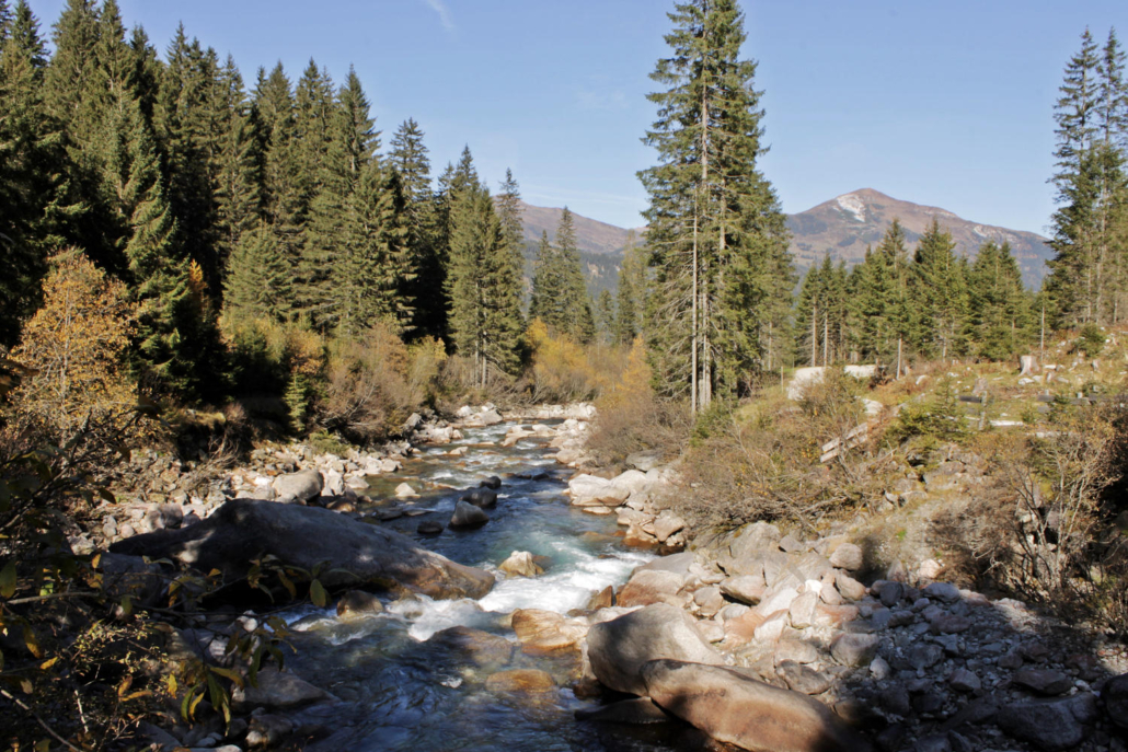 schwanger wandern in Herbstlandschaft