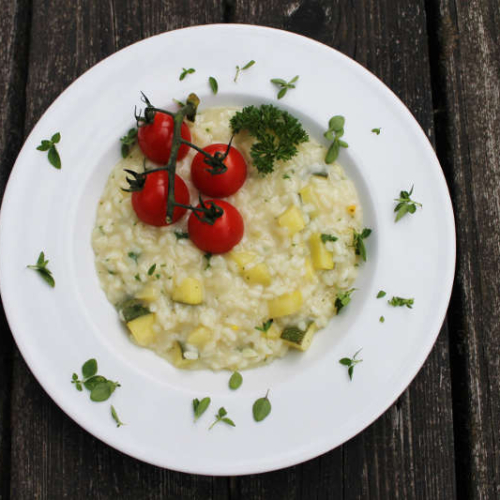 Zucchini-Risotto in der Schwangerschaft