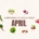 Saisonkalender April: was koche ich im April