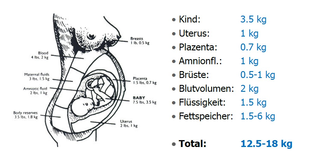Gewichtszunahme Schwangerschaft