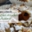 schnelle Apfelstrudel Muffins titelbild - bestreut mit Puderzucker in Nahaufnahme
